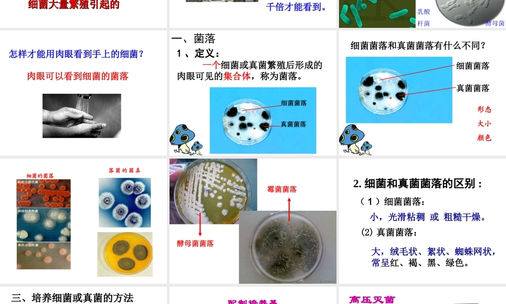 2014年秋八年级生物上册 第四章 第一节 细菌和真菌的分布课件1 新人教版