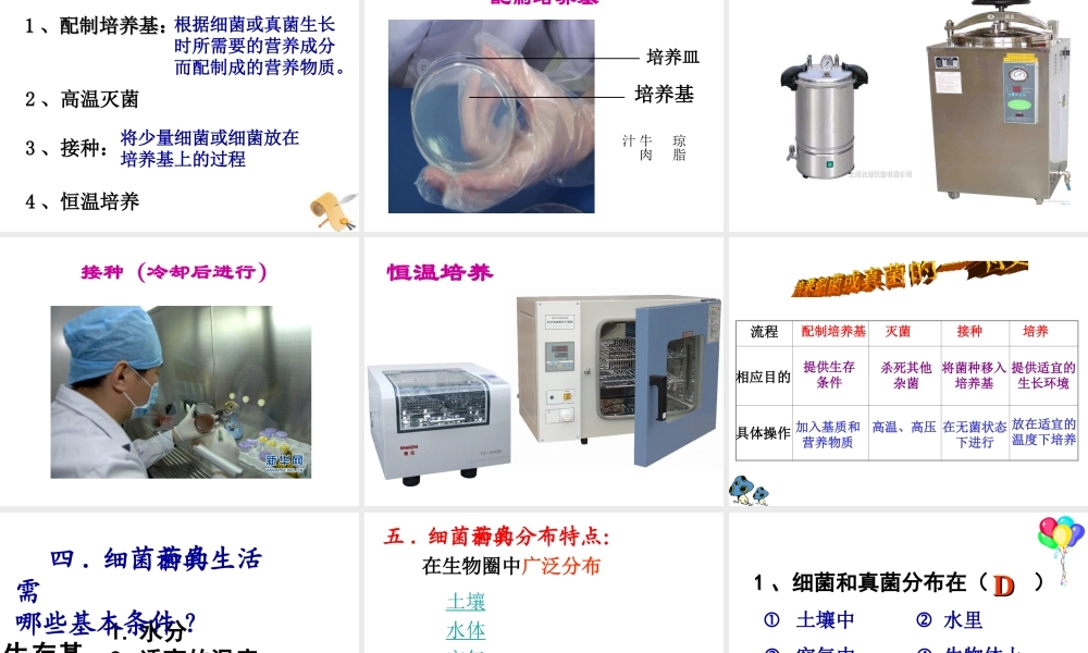 2014年秋八年级生物上册 第四章 第一节 细菌和真菌的分布课件1 新人教版