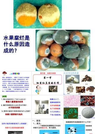 2014年秋八年级生物上册 第四章 第一节 细菌和真菌的分布课件1 新人教版
