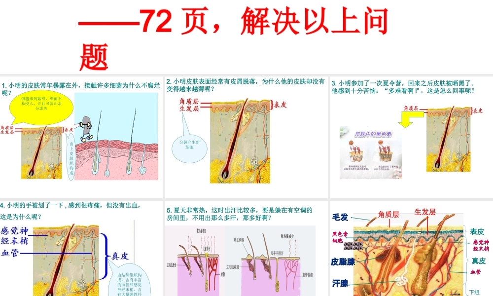 2014七年级生物下册 第二节 汗液的生成和排出上课用课件 济南版