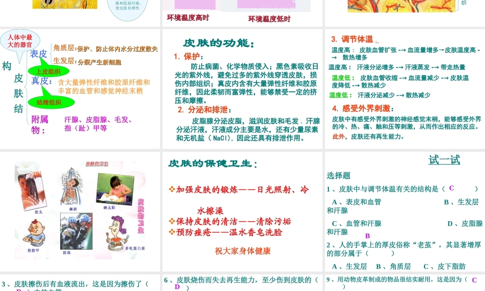 2014七年级生物下册 第二节 汗液的生成和排出上课用课件 济南版