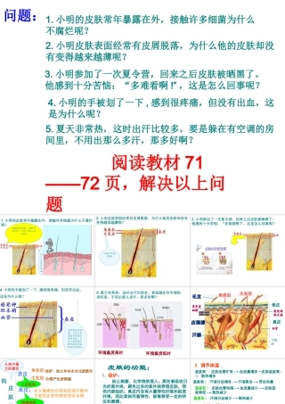 2014七年级生物下册 第二节 汗液的生成和排出上课用课件 济南版