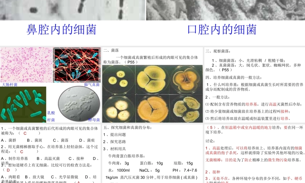 2014年秋八年级生物上册 第四章 第一节 细菌和真菌的分布课件2 新人教版