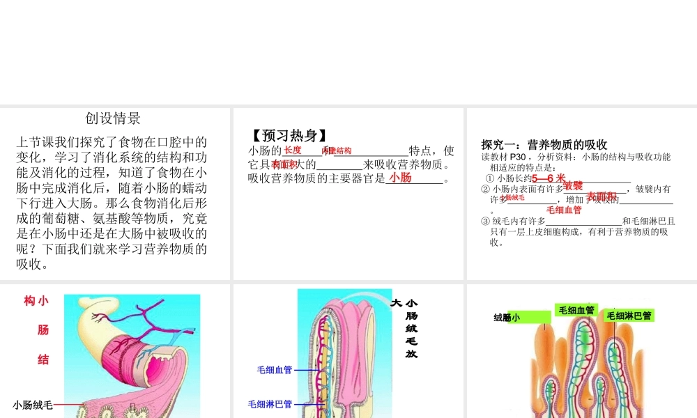 2014七年级生物下册 第二节 消化和吸收（第二课时）课件 新人教版