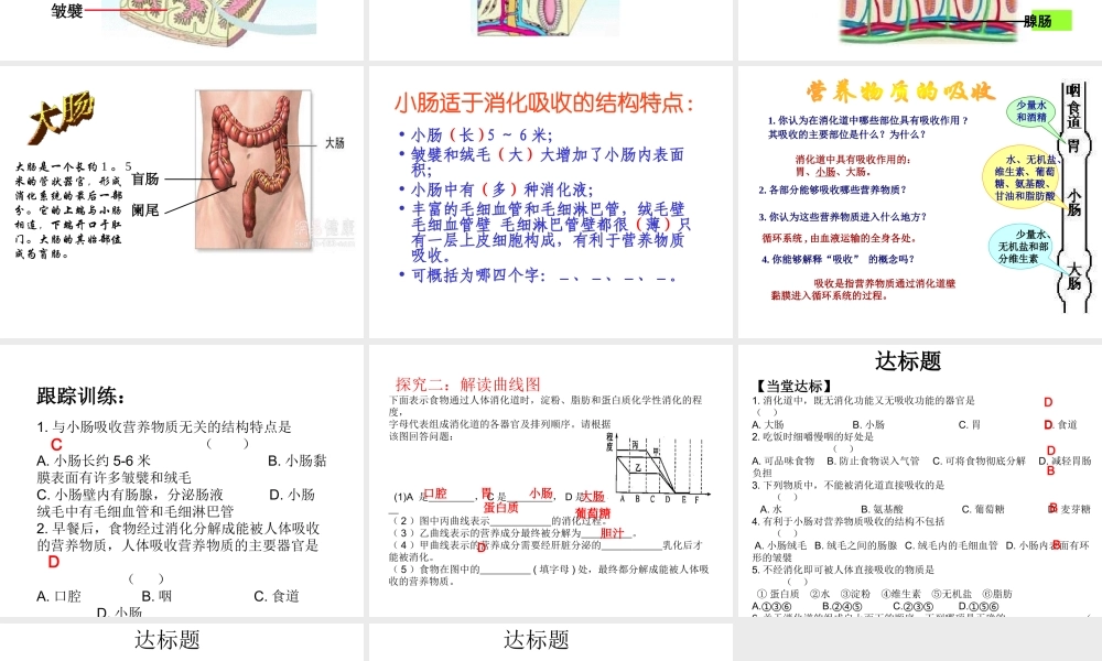 2014七年级生物下册 第二节 消化和吸收（第二课时）课件 新人教版