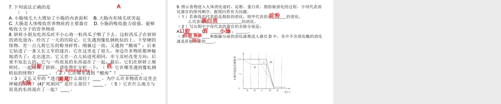2014七年级生物下册 第二节 消化和吸收（第二课时）课件 新人教版
