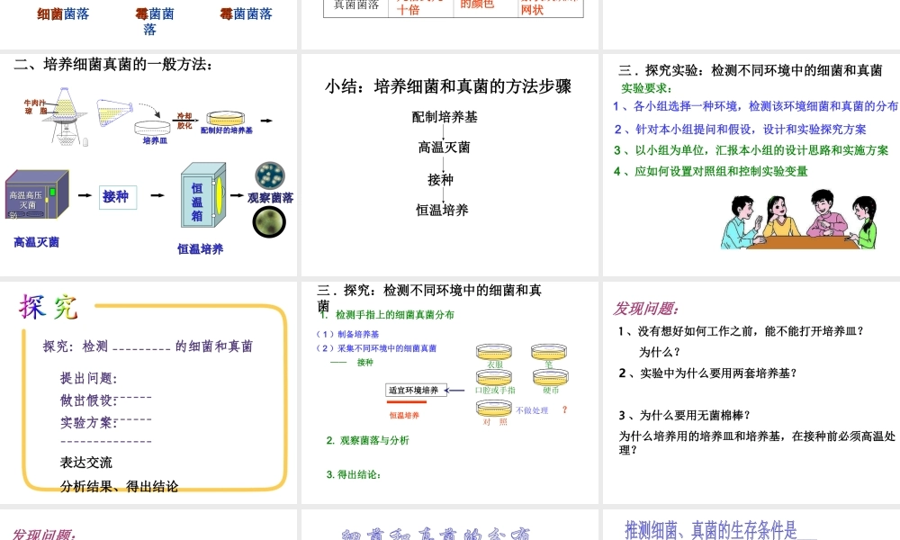 2014年秋八年级生物上册 第四章 第一节 细菌和真菌的分布课件3 新人教版
