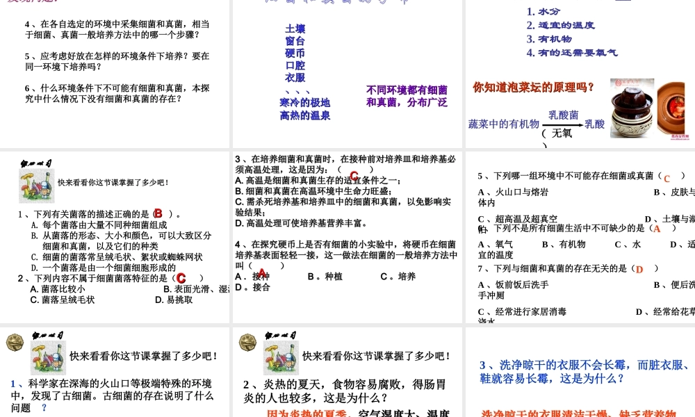 2014年秋八年级生物上册 第四章 第一节 细菌和真菌的分布课件3 新人教版
