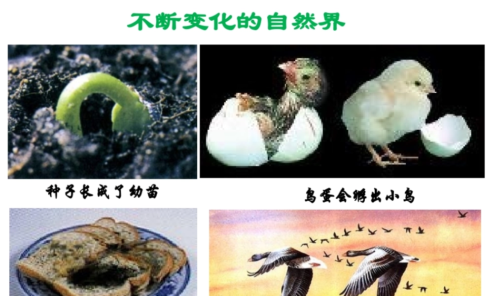 2014秋七年级科学上册 1.1 科学并不神秘课件 浙教版