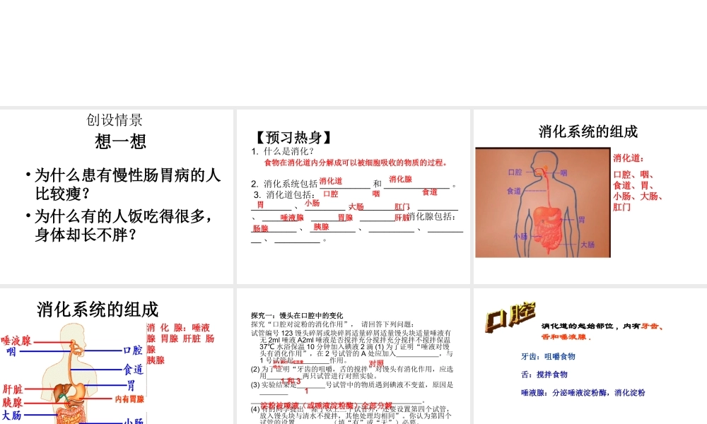 2014七年级生物下册 第二节 消化和吸收（第一课时）课件 新人教版