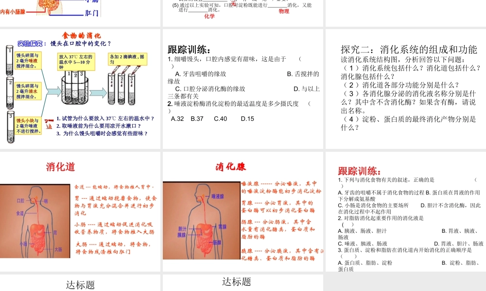 2014七年级生物下册 第二节 消化和吸收（第一课时）课件 新人教版