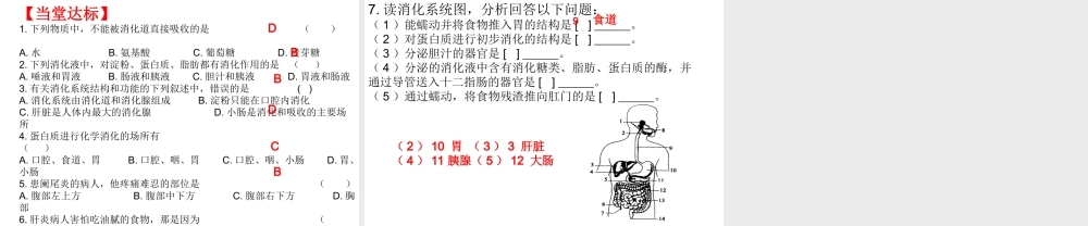 2014七年级生物下册 第二节 消化和吸收（第一课时）课件 新人教版