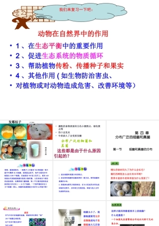 2014年秋八年级生物上册 第四章 第一节 细菌和真菌的分布课件4 新人教版