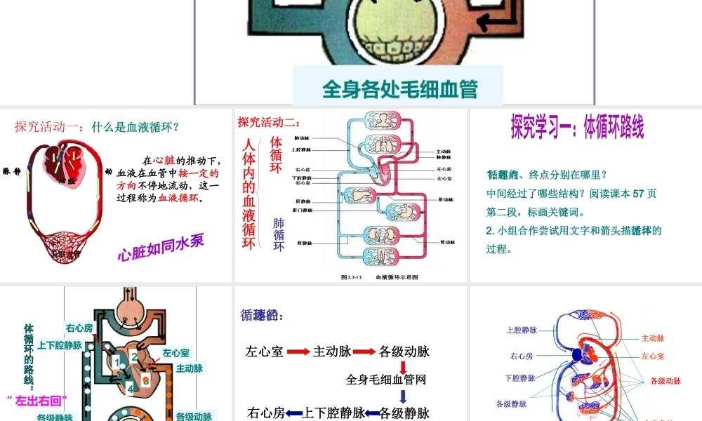 2014七年级生物下册 第三章 第三节 物质运输的途径课件 济南版