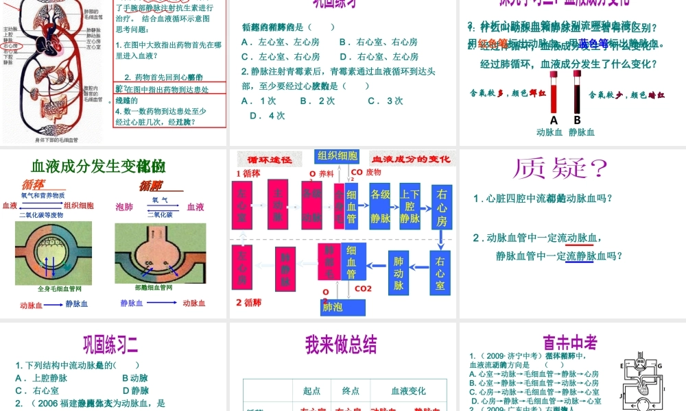 2014七年级生物下册 第三章 第三节 物质运输的途径课件 济南版