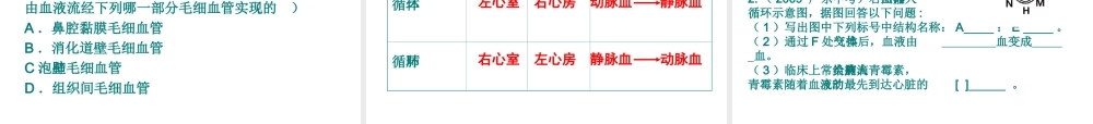 2014七年级生物下册 第三章 第三节 物质运输的途径课件 济南版