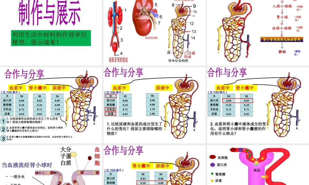 2014七年级生物下册 第五章 人体内废物的排出课件 新人教版