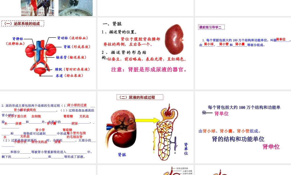 2014七年级生物下册 第五章 体内废物的排出课件 新人教版