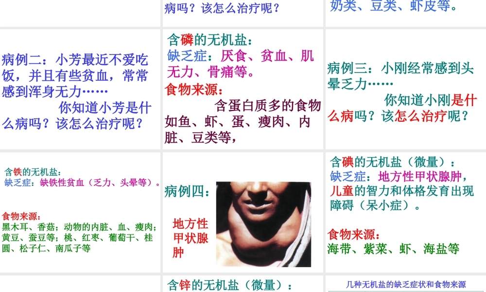 2014七年级生物下册 第一节 食物中的营养物质(第二课时)课件 新人教版