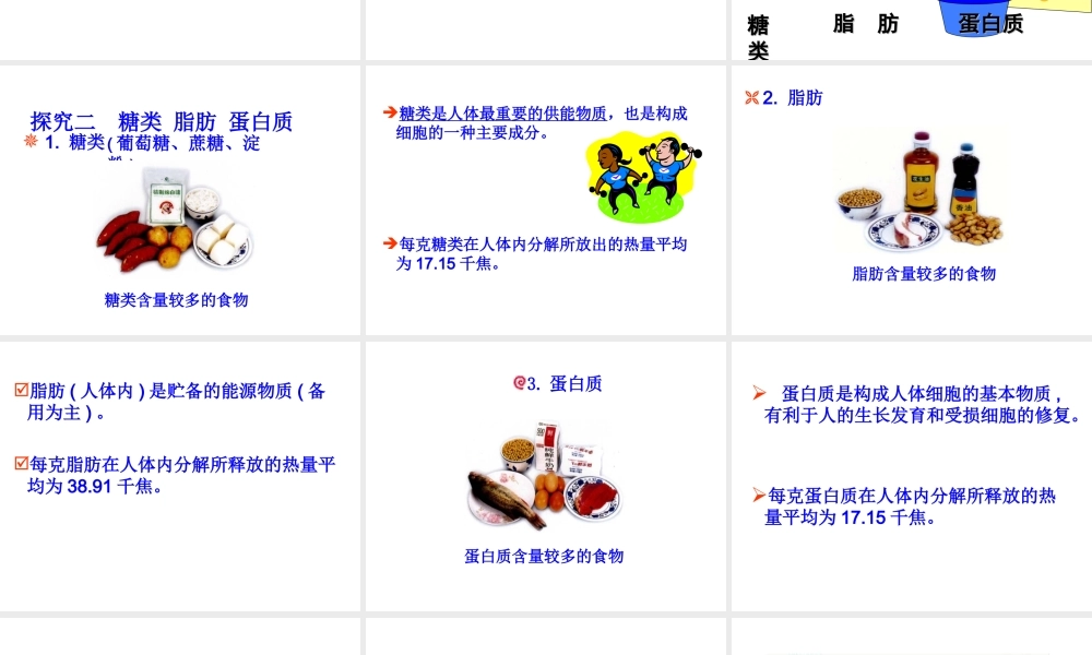 2014七年级生物下册 第一节 食物中的营养物质(第一课时)课件 新人教版