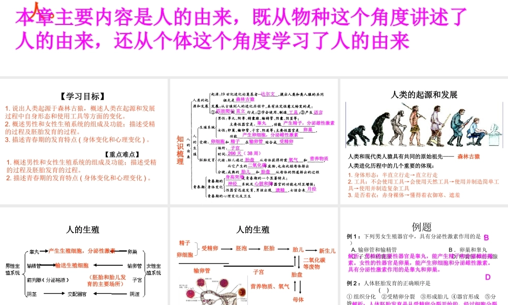 2014七年级生物下册 第一章 人的由来复习课件 新人教版