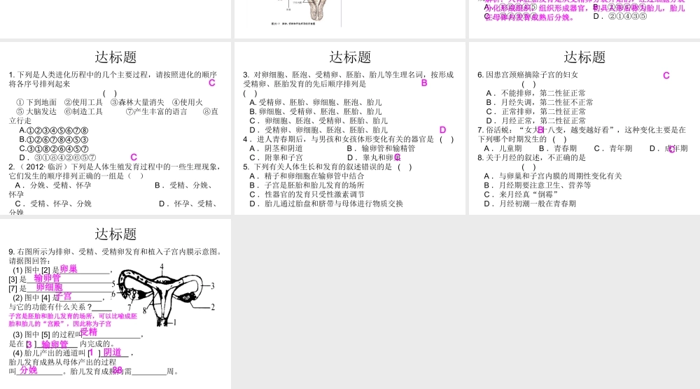 2014七年级生物下册 第一章 人的由来复习课件 新人教版