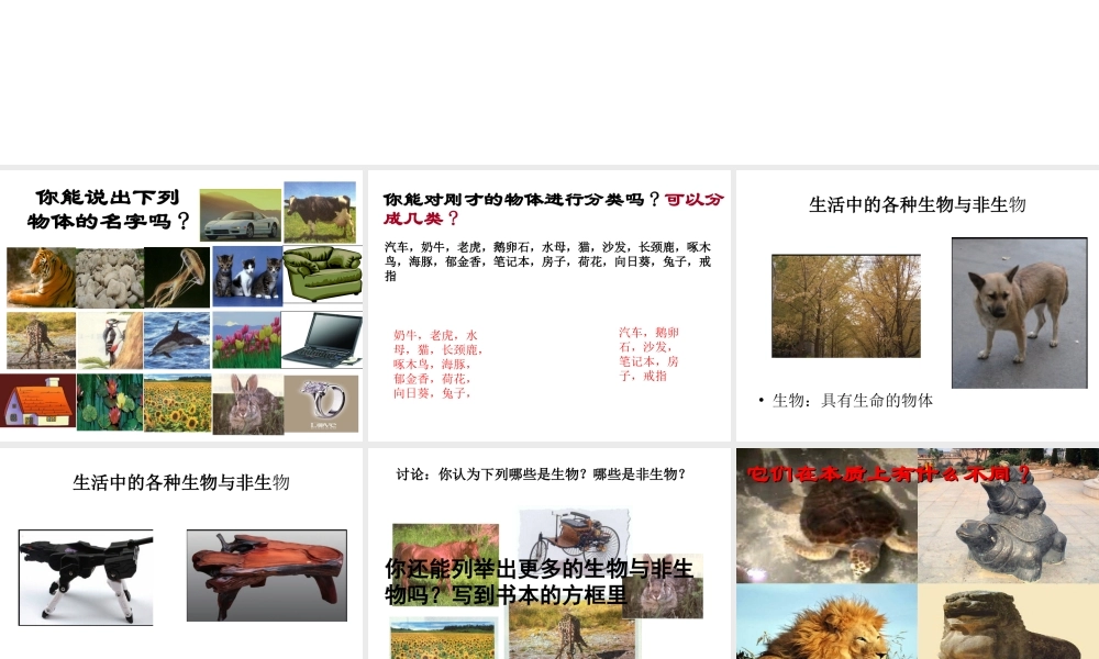 2014秋七年级科学上册 2.1 生物与非生物课件 浙教版