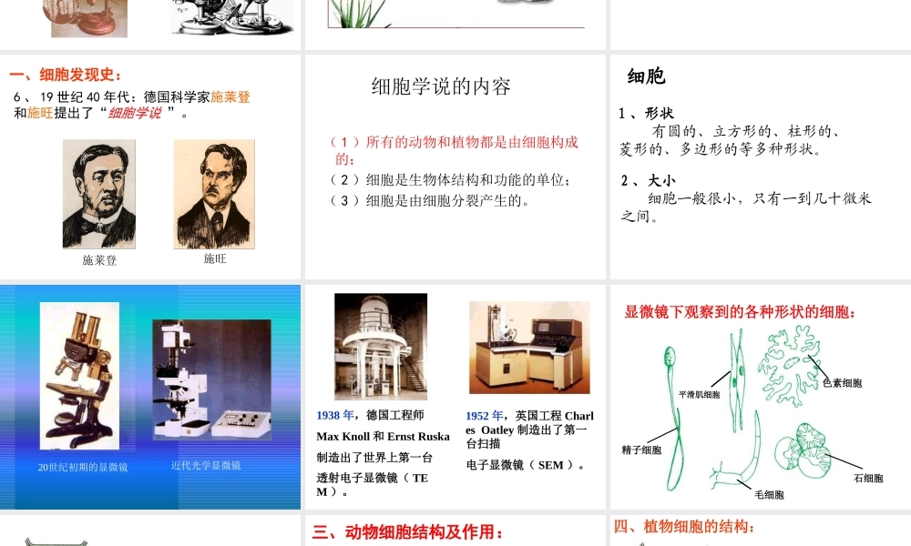 2014秋七年级科学上册 2.2 细胞（第1课时）课件 浙教版