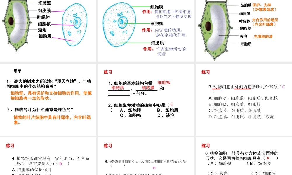 2014秋七年级科学上册 2.2 细胞（第1课时）课件 浙教版