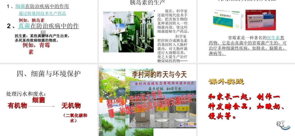 2014年秋八年级生物上册 第五单元 第五章 第二节 人类对细菌和真菌的利用课件 新人教版