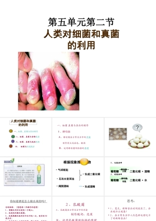 2014年秋八年级生物上册 第五单元 第五章 第二节 人类对细菌和真菌的利用课件 新人教版