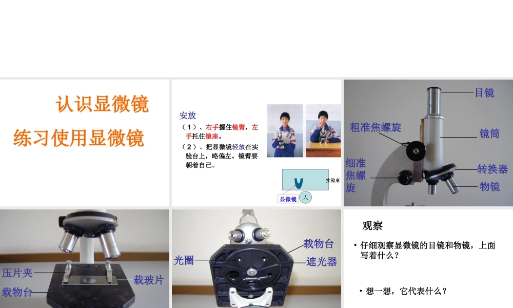 2014秋七年级科学上册 2.2 细胞（第2课时）课件 浙教版