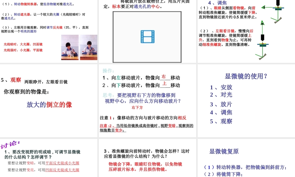 2014秋七年级科学上册 2.2 细胞（第2课时）课件 浙教版