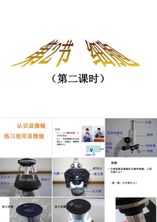 2014秋七年级科学上册 2.2 细胞（第2课时）课件 浙教版