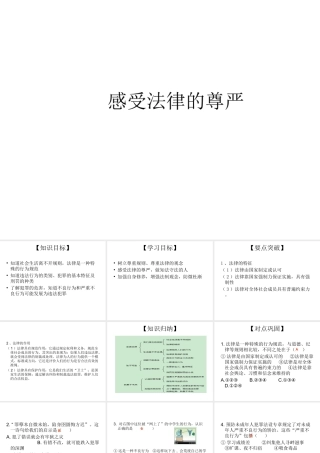 2014七年级政治下册 感受法律的尊严对点助学课件 新人教版