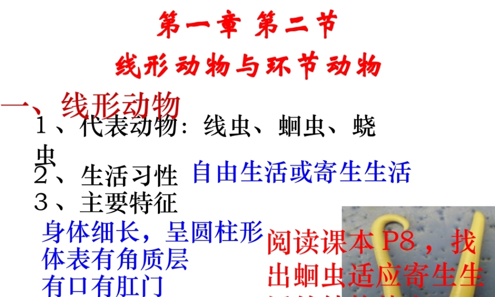 2014年秋八年级生物上册 第五单元 第一 章第二节 线形动物与环节动物课件 （新版）新人教版