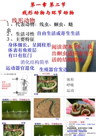 2014年秋八年级生物上册 第五单元 第一 章第二节 线形动物与环节动物课件 （新版）新人教版