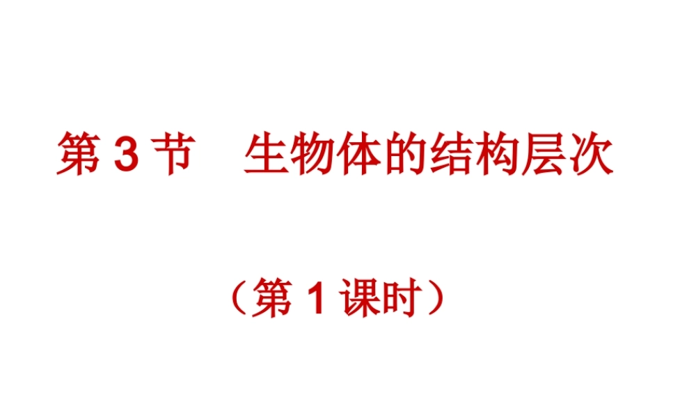 2014秋七年级科学上册 2.3 生物体的结构层次（第1课时）课件 浙教版