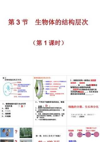 2014秋七年级科学上册 2.3 生物体的结构层次（第1课时）课件 浙教版