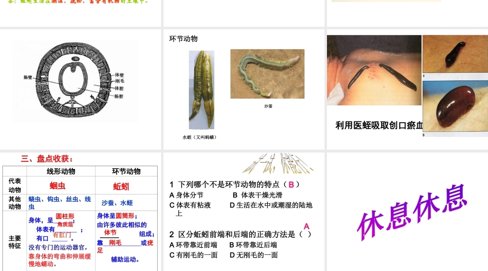 2014年秋八年级生物上册 第五单元 第一章 第二节 线性和环节动物课件 （新版）新人教版