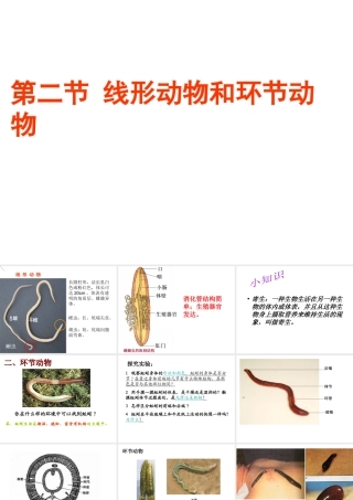 2014年秋八年级生物上册 第五单元 第一章 第二节 线性和环节动物课件 （新版）新人教版