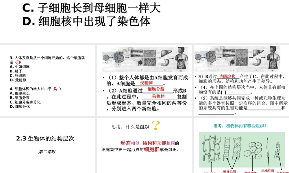 2014秋七年级科学上册 2.3 生物体的结构层次（第2课时）课件 浙教版