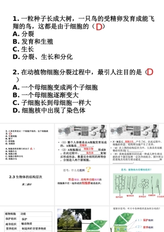 2014秋七年级科学上册 2.3 生物体的结构层次（第2课时）课件 浙教版