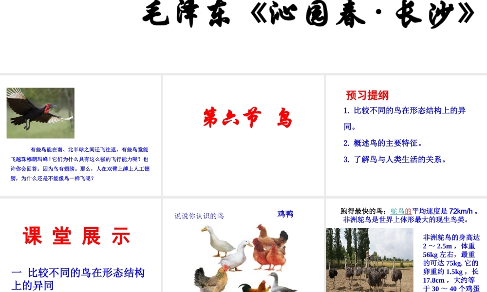 2014年秋八年级生物上册 第五单元 第一章 第六节 鸟课件 （新版）新人教版