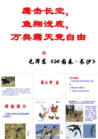 2014年秋八年级生物上册 第五单元 第一章 第六节 鸟课件 （新版）新人教版