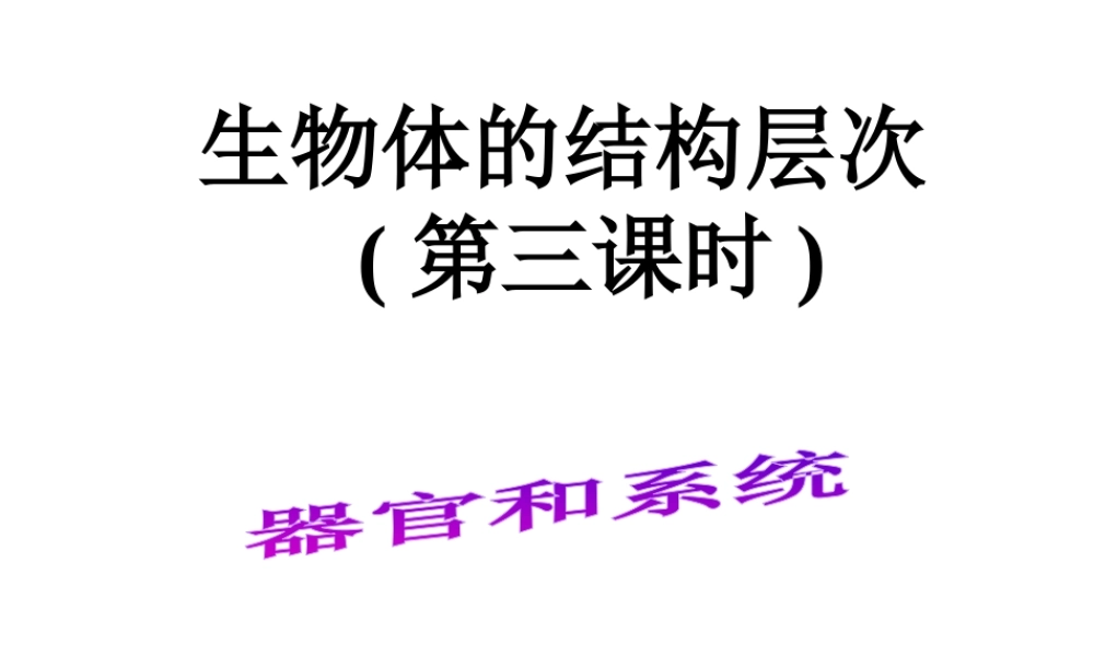 2014秋七年级科学上册 2.3 生物体的结构层次（第3课时）课件 浙教版