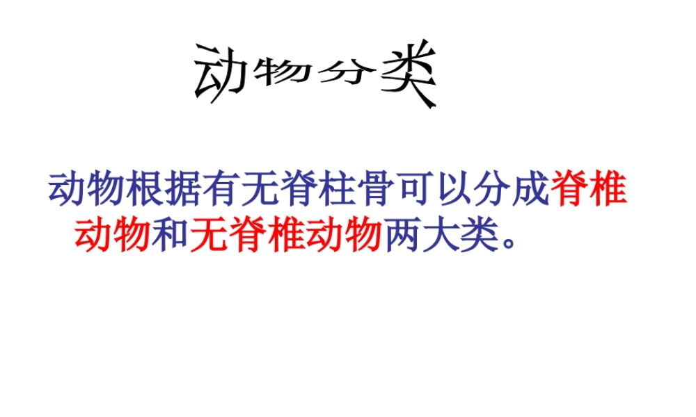 2014年秋八年级生物上册 第五单元 第一章 第三节 软体动物和节肢动物课件 （新版）新人教版