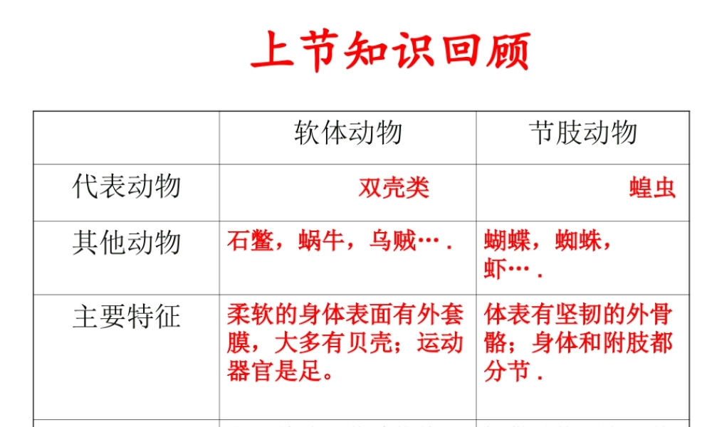 2014年秋八年级生物上册 第五单元 第一章 第四节 鱼课件 （新版）新人教版