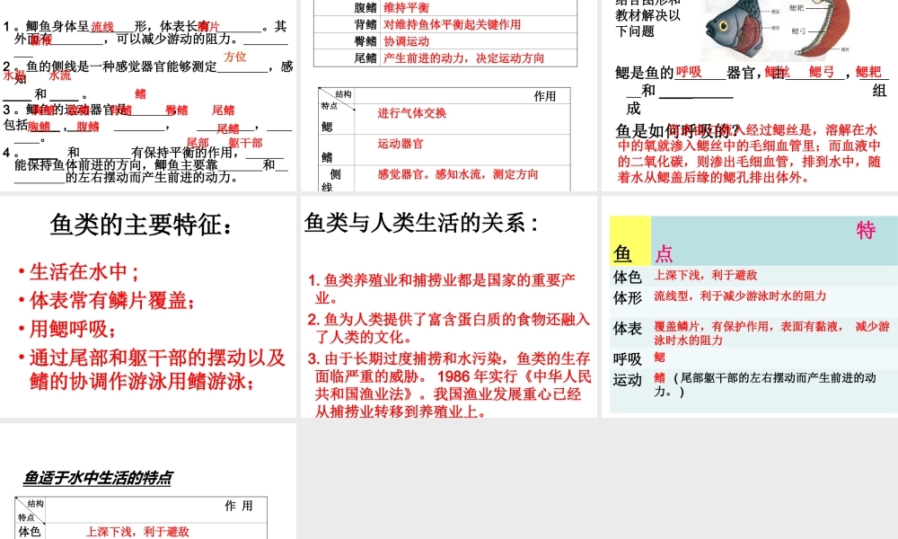 2014年秋八年级生物上册 第五单元 第一章 第四节 鱼课件 （新版）新人教版