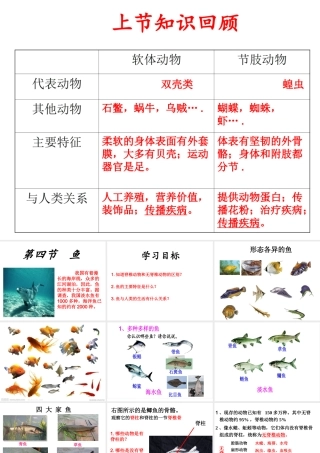 2014年秋八年级生物上册 第五单元 第一章 第四节 鱼课件 （新版）新人教版